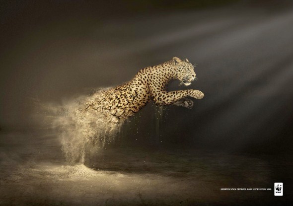 социальная кампания в защиту животных от WWF