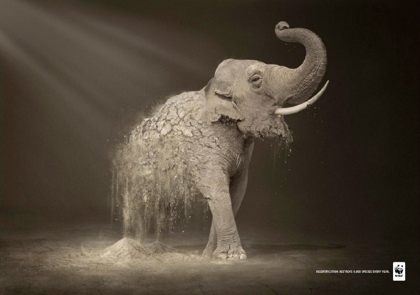 социальная кампания в защиту животных от WWF