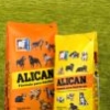 Alican Dog Food: радость и уют