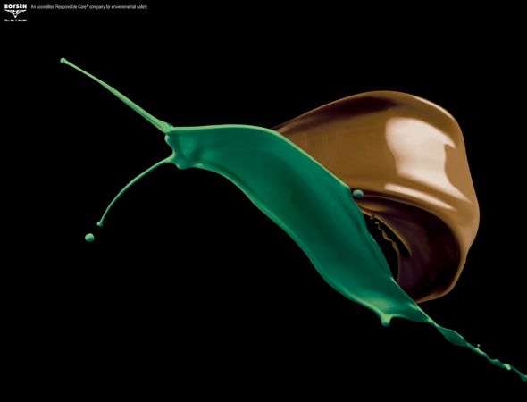 Pacific Paint: Snail