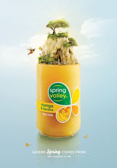 Spring Valley: Mango